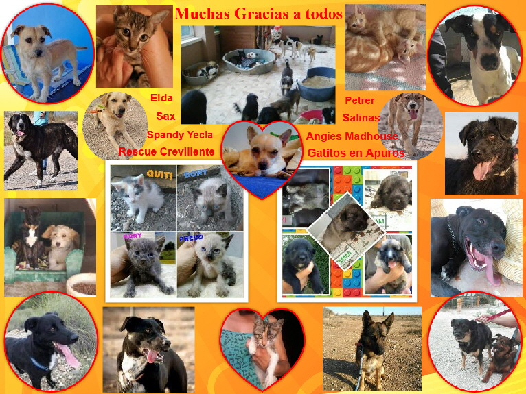 Katja_Collage_2