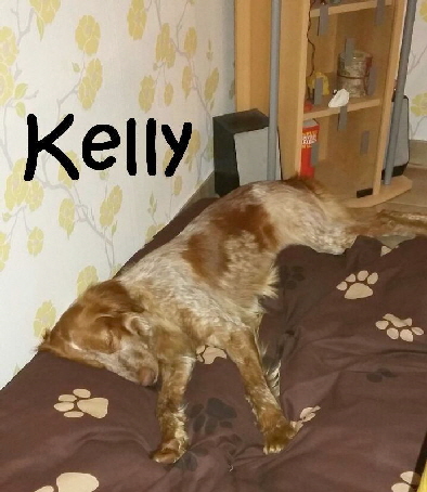 Kelly_IMG-20180203-WA0018_mN