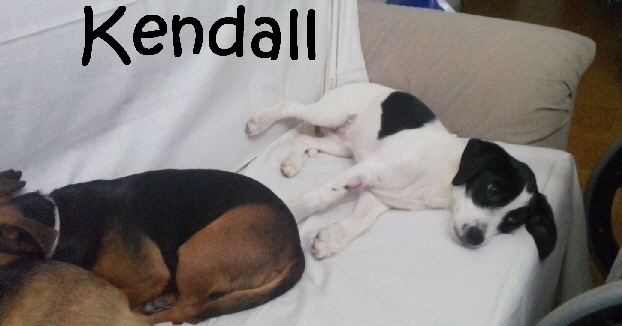 Kendall_IMG-20170320-WA0077_mN