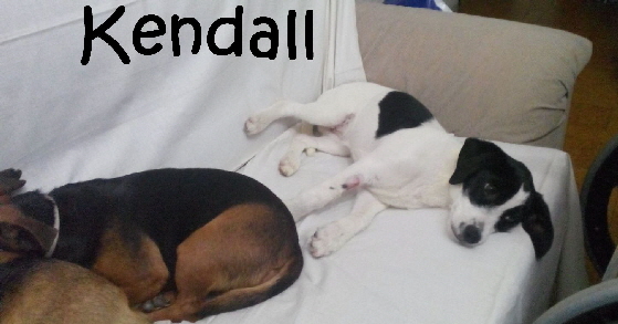 Kendall_IMG-20170320-WA0077_mN