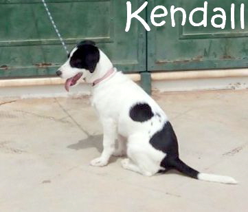 Kendall_IMG_20170414_172325_mN