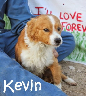 Kevin_IMG_9121_mN