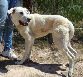Kiba_adjuntos_fichero_2375538_ee188057206ac67ag
