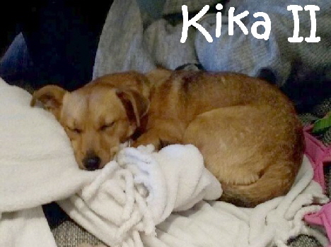 KikaII_IMG-20171028-WA0012_mN