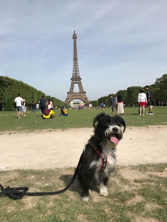 Kika_IMG_4434