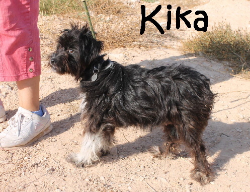 Kika_image_mN