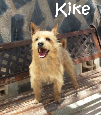 Kike_IMG-20170606-WA0004_mN