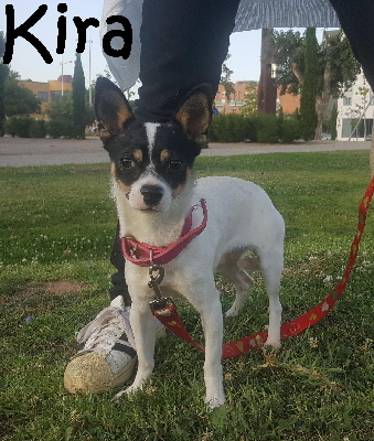 Kira2_IMG-20170606-WA0002_mN