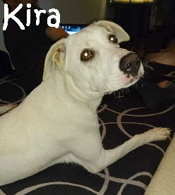 KiraII_IMG-20171126-WA0023_mN