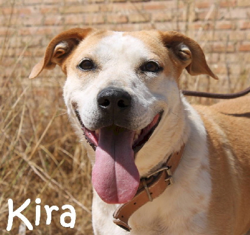 Kira_4367_mN