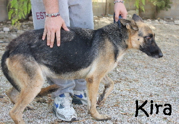 Kira_IMG_8490