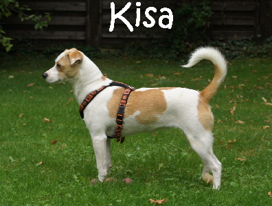Kisa_DSC04383_mN