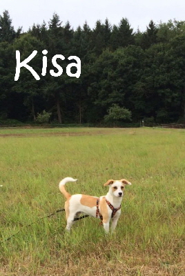 Kisa_IMG-20160919-WA0003_mN