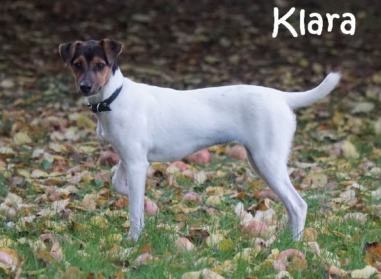 Klara_DSC04613_mN