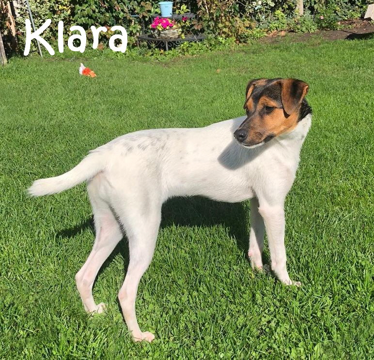 Klara_IMG-20201010-WA0008_mN