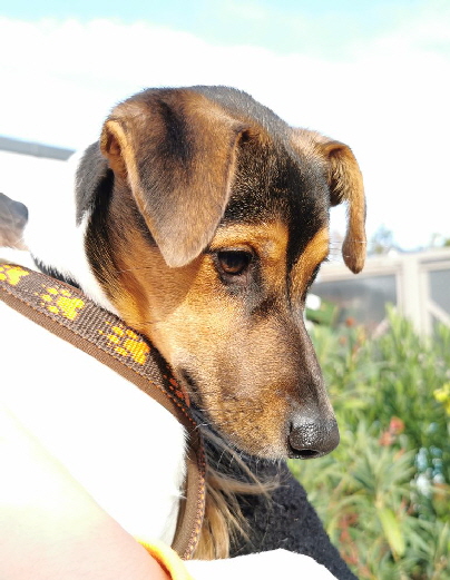Klara_IMG_20201010_103656