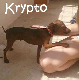 Krypto_3204813bc3a2426eg_mN