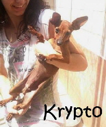 Krypto_7a735dc90f98ac3ag_mN