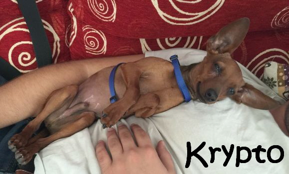 Krypto_IMG-20151016-WA009_mN