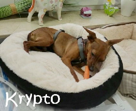Krypto__IMG-20151028-WA0000_mN