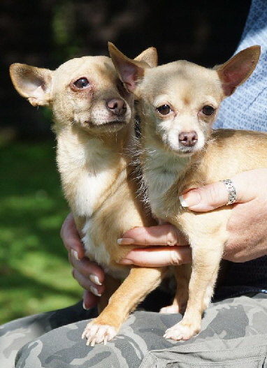 Laika+Popi_DSC00100_1280x853