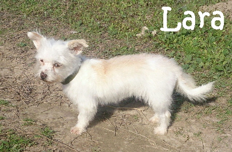 Lara_IMG-20161014-WA0012_mN