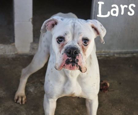 Lars_IMG_0702_mN