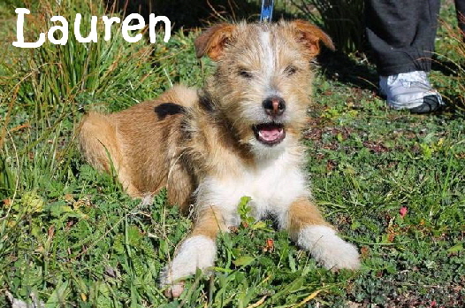 Lauren_adjuntos_fichero_12a35d5f72fc315g_mN
