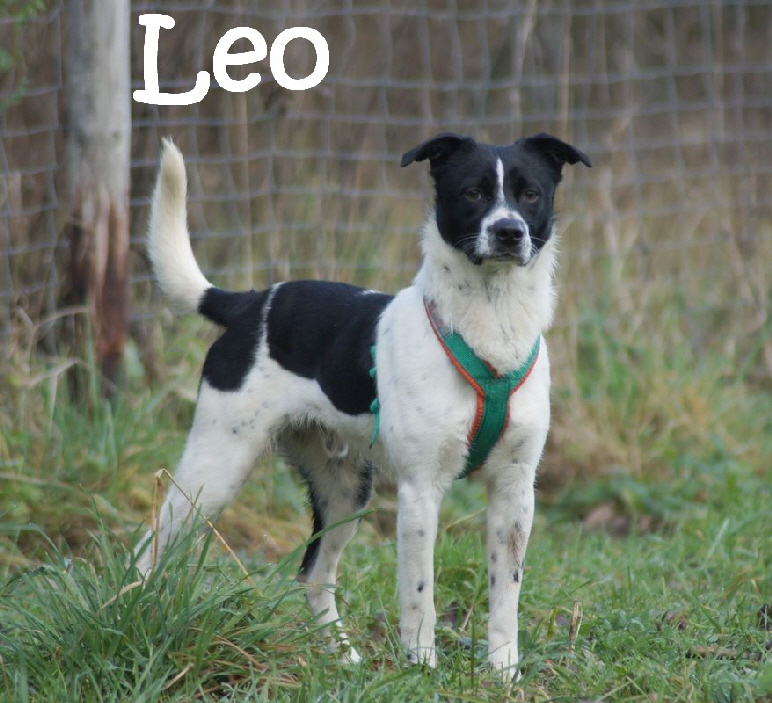 Leo_DSC01227_mN