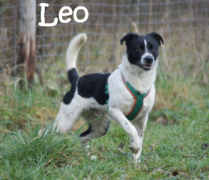 Leo_DSC01229_mN