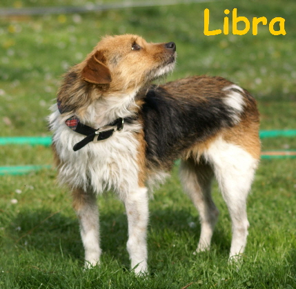 Libra_DSC00013_mitName