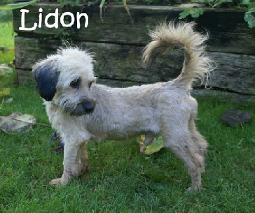 Lidon_DSC00124_mitName