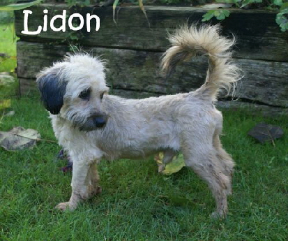 Lidon_DSC00124_mitName