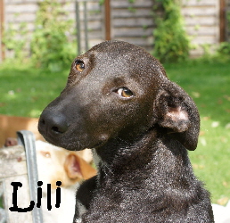 Lili_DSC03360_mN