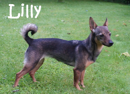 Lilly_DSC03187_mN