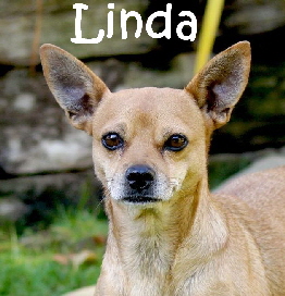Linda_DSC05444 Kopie_mN