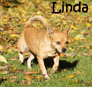 Linda_DSC05448_mN