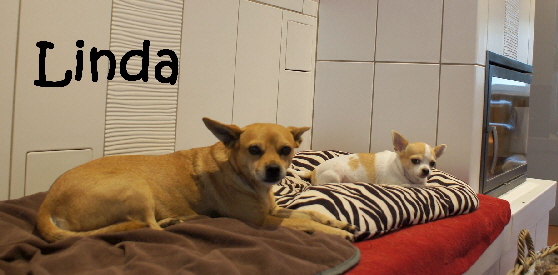 Linda_DSC05532_mN