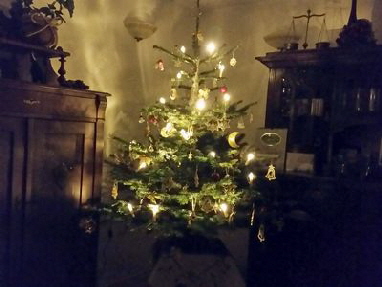 LisaS_20151222_003321_resized