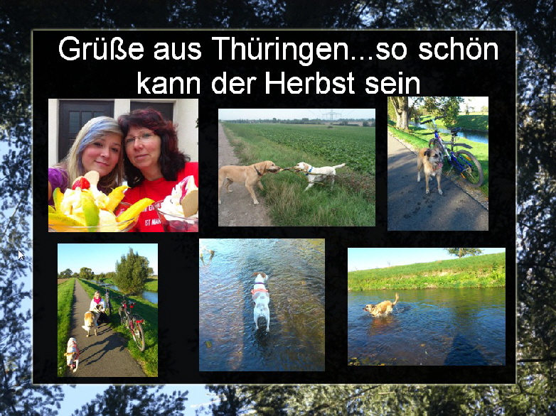 Lisa_Collage_1