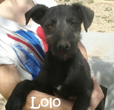 Lolo_IMG-20160328-WA0024_mN