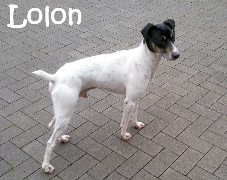 Lolon_20181219_100737_mN