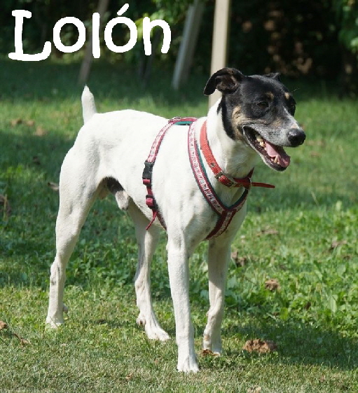 Lolon_DSC04741_mN