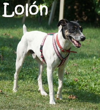 Lolon_DSC04741_mN