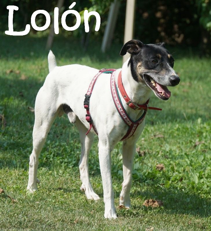Lolon_DSC04741_mN