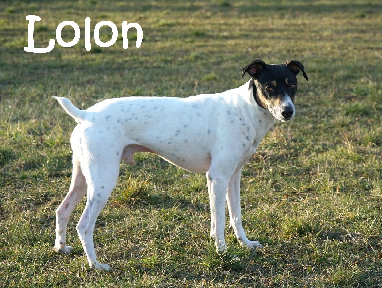 Lolon_DSC09520_mN