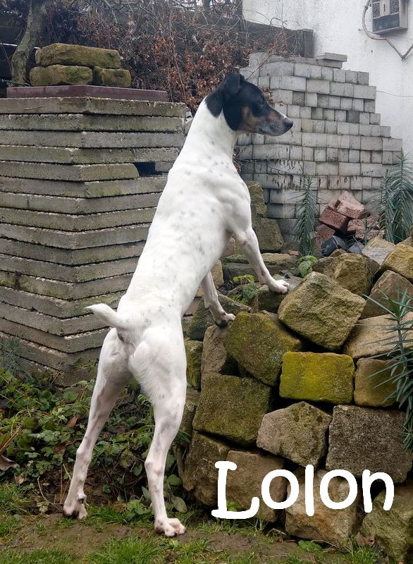 Lolon_IMAG0448 (1)_mN