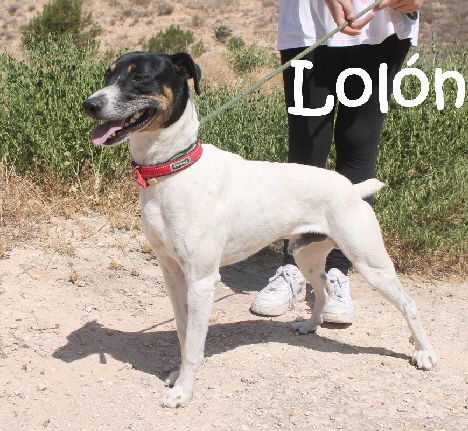 Lolon_IMG_0037_mN