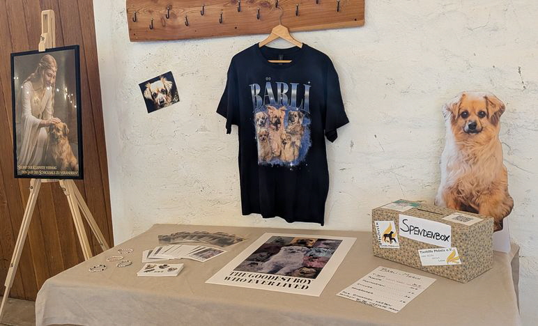 Lorena_PXL_20250531_160103403 Lorena_PXL_20250531_160103403