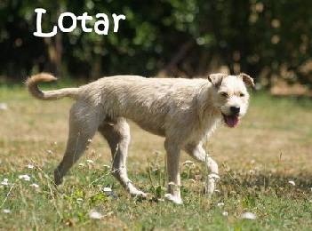 Lotar_DSC09052_mN